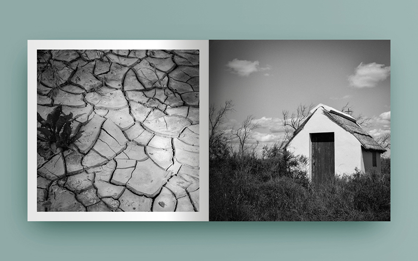 L'espace et le temps en Camargue