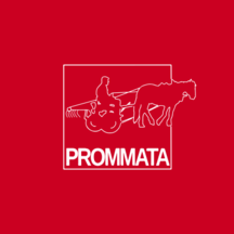 Association PROMMATA supports the project Du maraîchage avec les ânes aux Jardins de Passe Colère