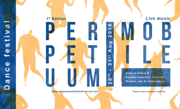 Project visual Perpetuum Mobile Festival - 1ère édition