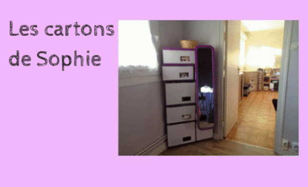 Visuel du projet LES CARTONS DE SOPHIE : Apprenez à fabriquer des meubles en carton