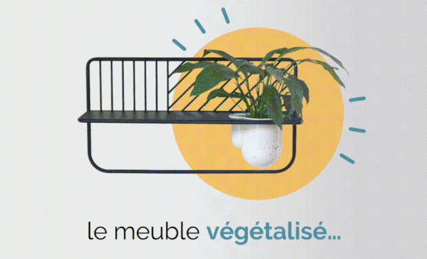 Project visual Niobé, le meuble végétalisé et éthique