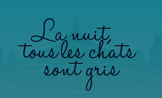 La Nuit Tous Les Chats Sont Gris By Kisskissbankbank