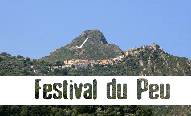 Project visual Festival du Peu