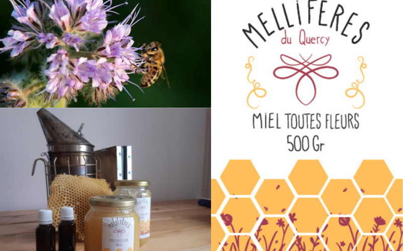 Le miel français bio - En direct des apiculteurs - La Plateforme du Miel