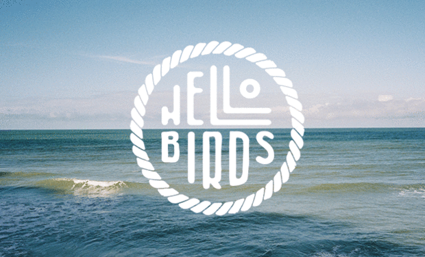 Project visual Hello Birds Festival #2 - Etretat - Normandie