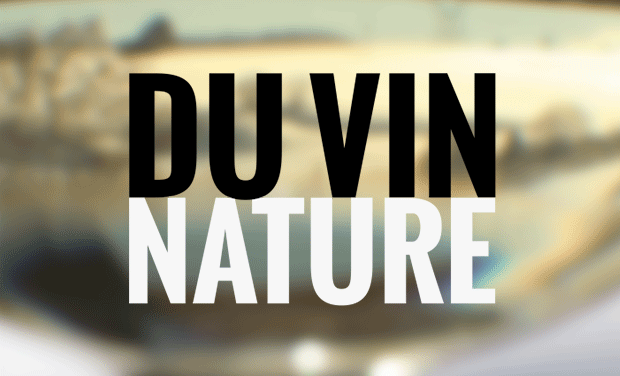 Project visual Vin nature en Aveyron