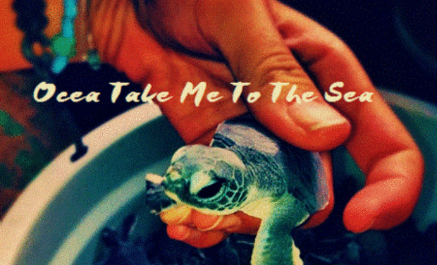 Project visual OCEA "Take Me To The Sea"