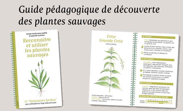 Guide Pedagogique De Decouverte Des Plantes Sauvages Par Nancie Renaut Kisskissbankbank