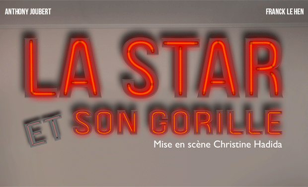 Project visual La star et son gorille