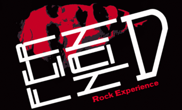 Visuel du projet FERNAND, "Brel Rock Experience"