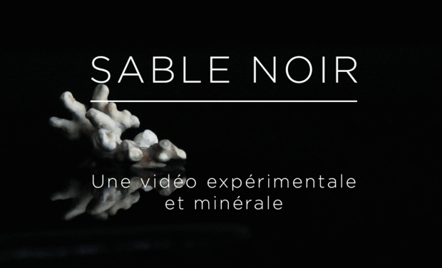 Project visual Sable Noir