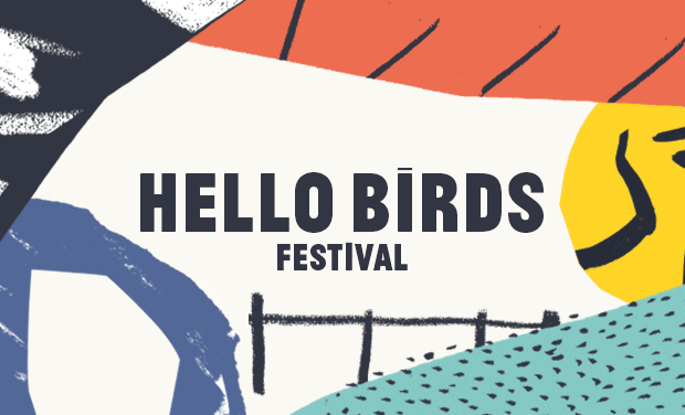 Project visual Hello Birds Festival #4 - Etretat - Normandie