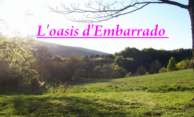 Project visual L'oasis d'Embarrado