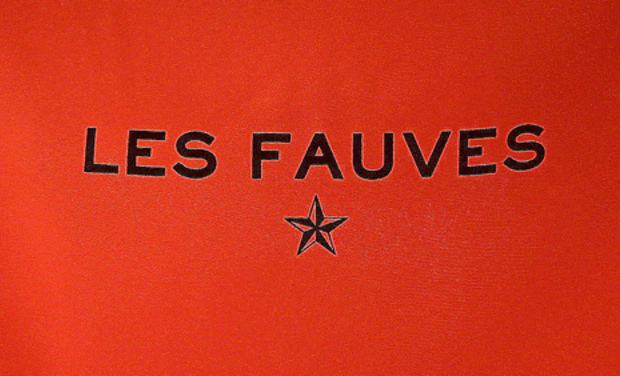 Project visual LES FAUVES - La Revue