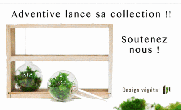 Project visual Adventive lance sa propre collection !