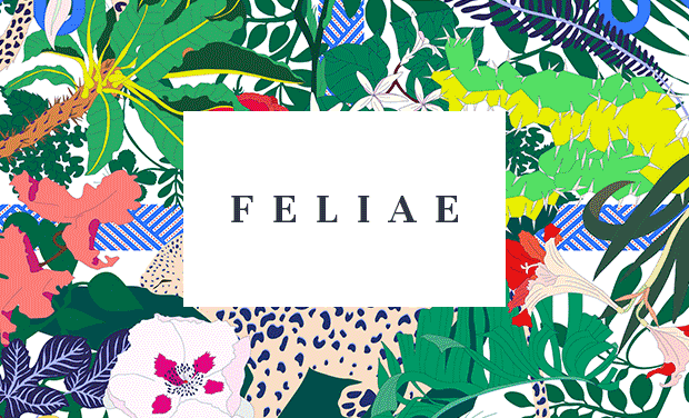 Visuel du projet Feliae