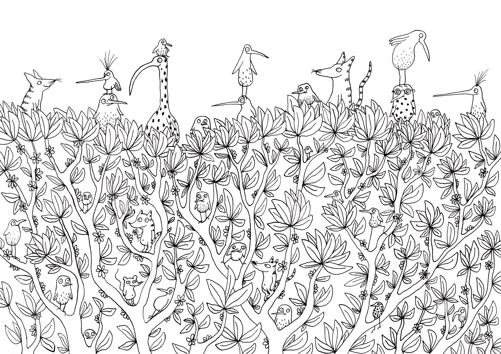 Cahier De Coloriages Petits Beurre Plantes Et Creatures A Gogo Par Elodie Guilland Kisskissbankbank